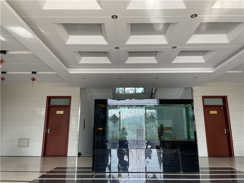 办公室大厅展示